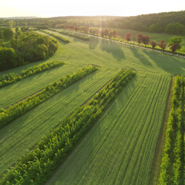 Blick auf der Vogelperspektive auf grüne Felder und Wälder