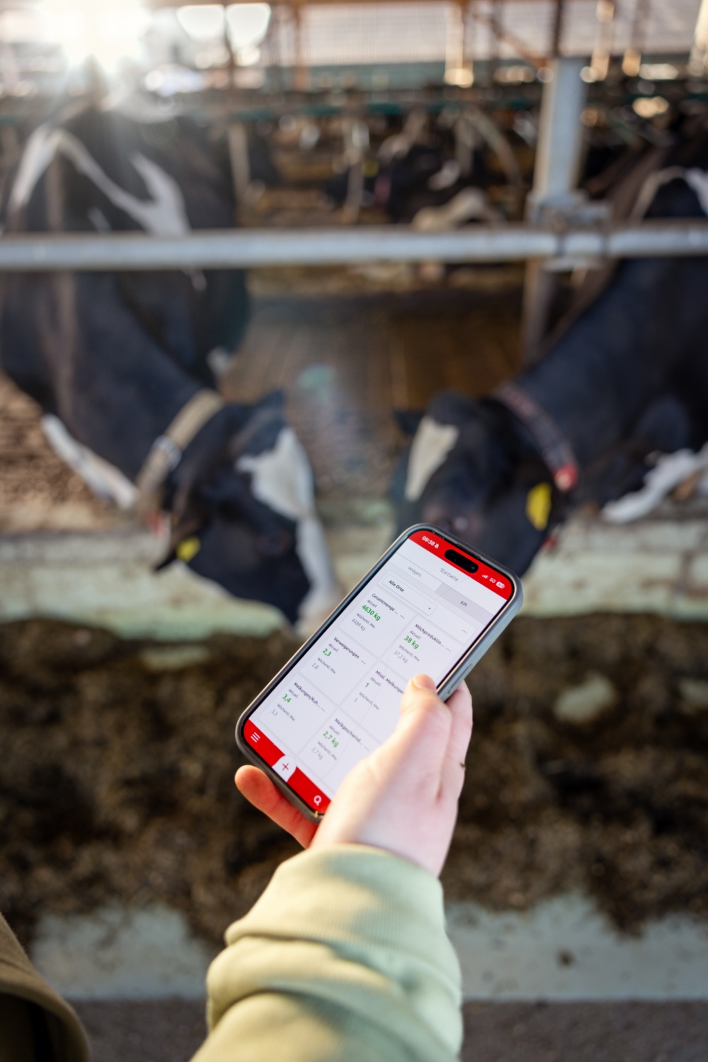 Die Landwirtin trackt über die Handyapp den Melkroboter in ihrem Stall. Die Landwirtin trackt über die Handyapp den Melkroboter in ihrem Stall.