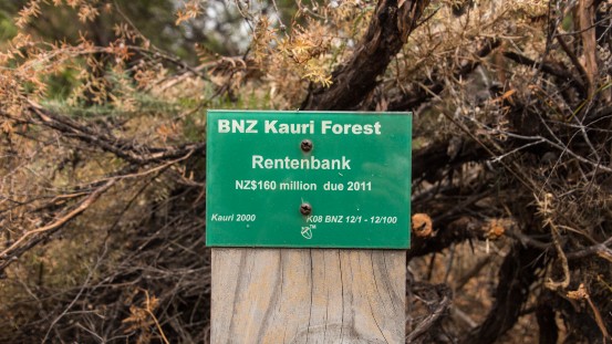 BNZ Kauri Forest